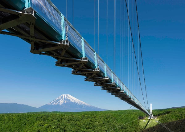 【群馬県内発】 絶景☆三島スカイウォーク13000株のあじさい祭りと いざ漁師飯!沼津港グルメ食べ歩き2